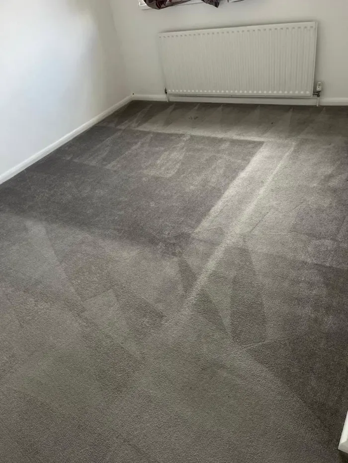 Freshly cleaned grey bedroom carpet with clean lines