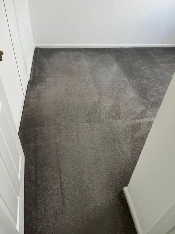 Clean grey carpet in an empty bedroom with a window