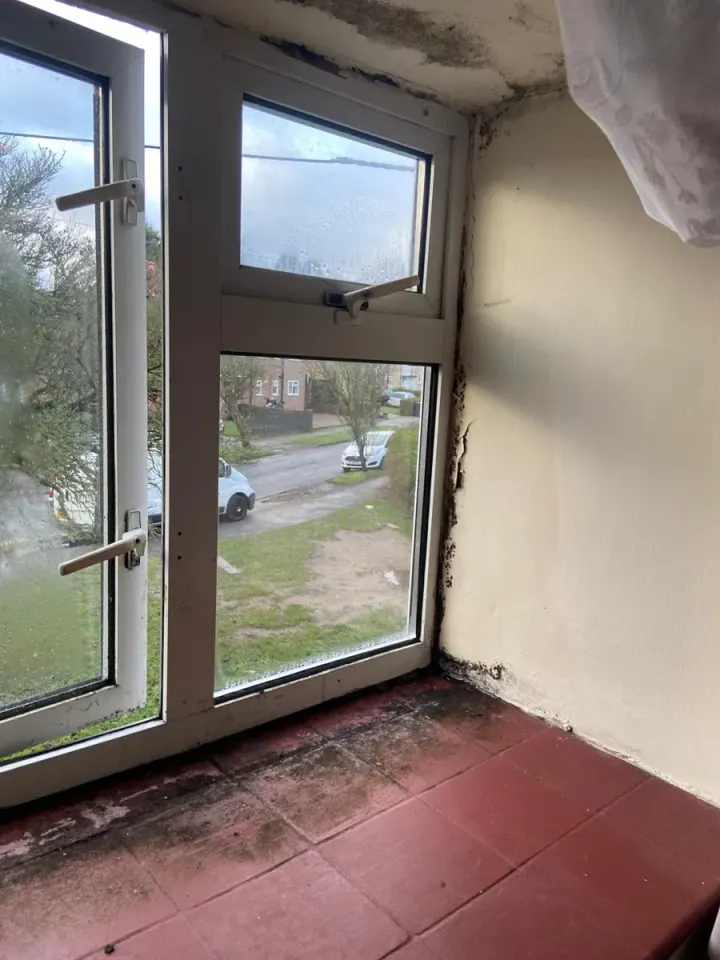 Black mould along a window frame and sill before treatment